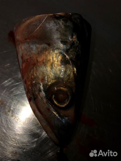 Рыбные отходы