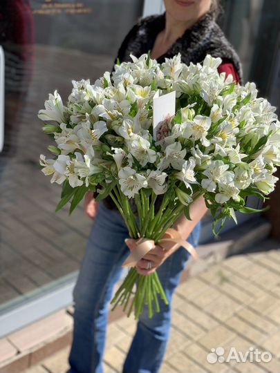 Букет из 25 альстромерий под ленту