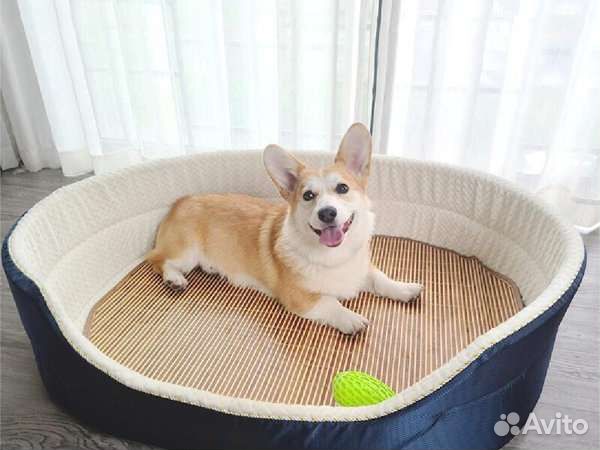 Передержка, выгул собак, присмотр, уход