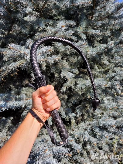 Нагайка кубанская