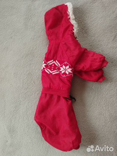 Комбинезон для собак мелких пород(Джек Рассел)