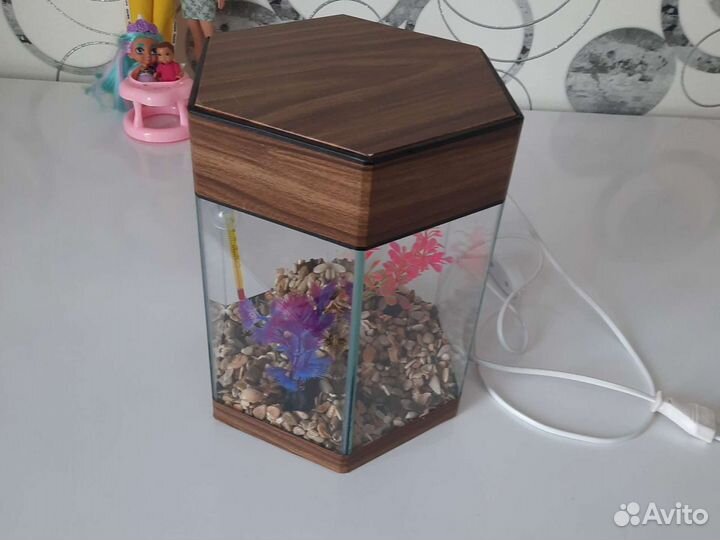 Аквариум без фильтра