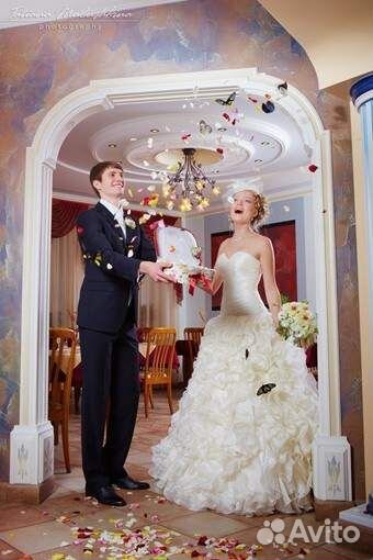 Свадебный салют из живых тропических бабочек