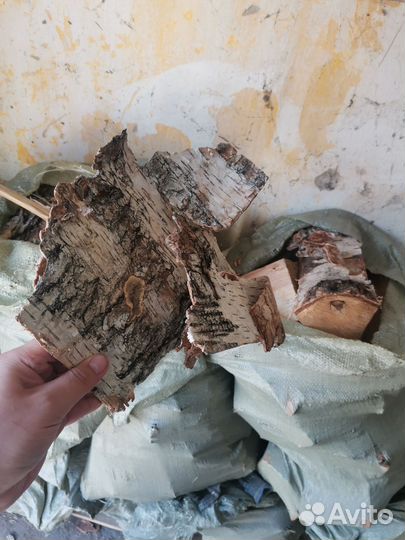 Березовая береста