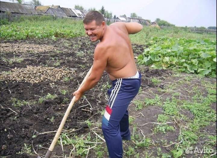 Разнорабочий, грузчик