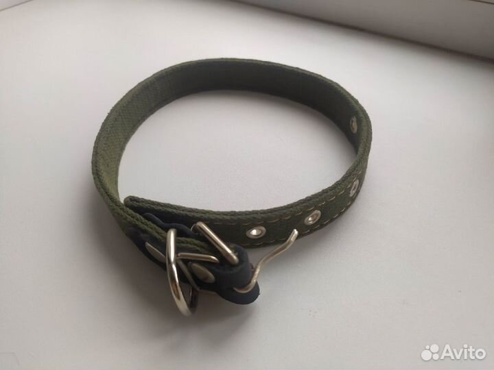 Ошейник для собак