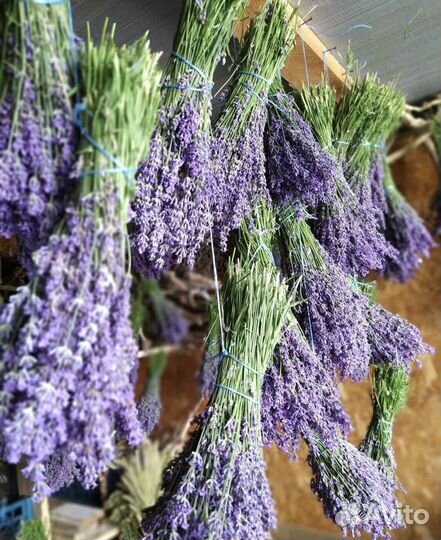 Украшение интерьера, лаванда