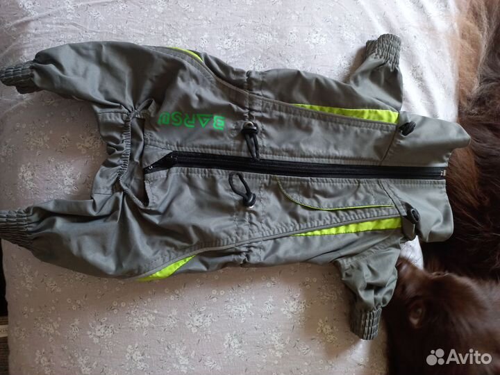 Комбинезон для маленькой собаки, мальчик