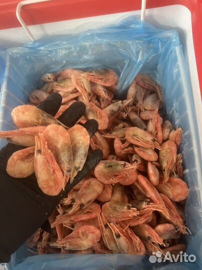 Креветки северные 90/120