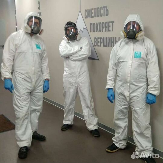 Дезинфекция, Дезинсекция, Дератизация