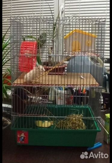 Клетка для грызунов бу