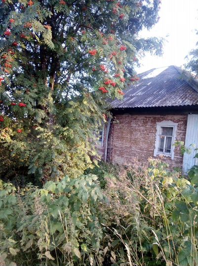 Дом 150 м² на участке 1,5 га