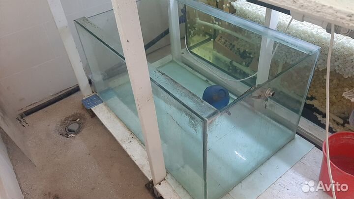 Аквариумы б/у 300 и 500л./ Вихревой компр. HG 180С