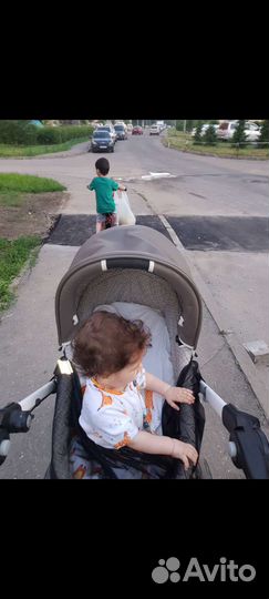 Коляска 2 в 1 тевтония