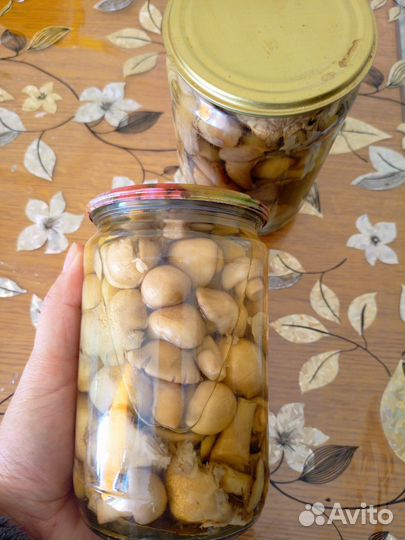 Грибы маринованные