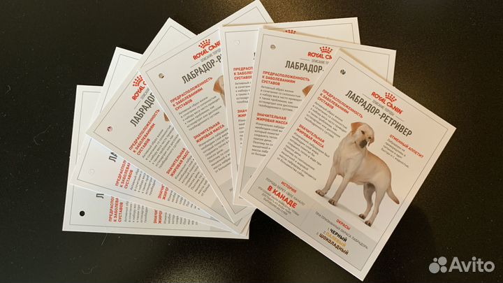 Карточки Royal Canin