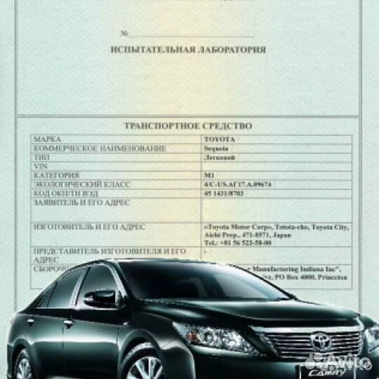 Оформление Эптс Сбктс под ключ