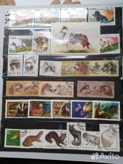 Марки коллеция