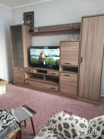 Стенка Софи