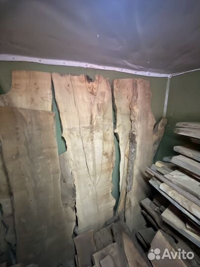 Лес дерево спилы слэб орех карагач