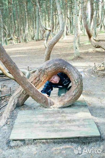 Экскурсия на Куршскую Косу+Зеленоградск+замки