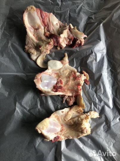 Говяжьи кости на корм собакам и другим животным