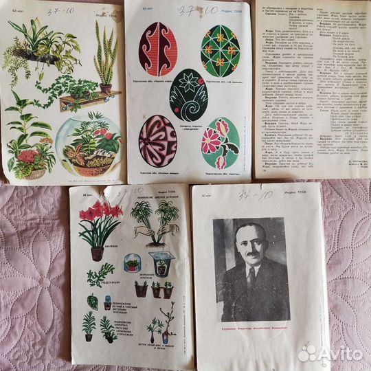 Журналы СССР Дошкольное воспитание