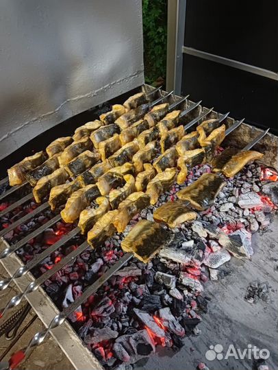 Живая рыба осетринка доставка