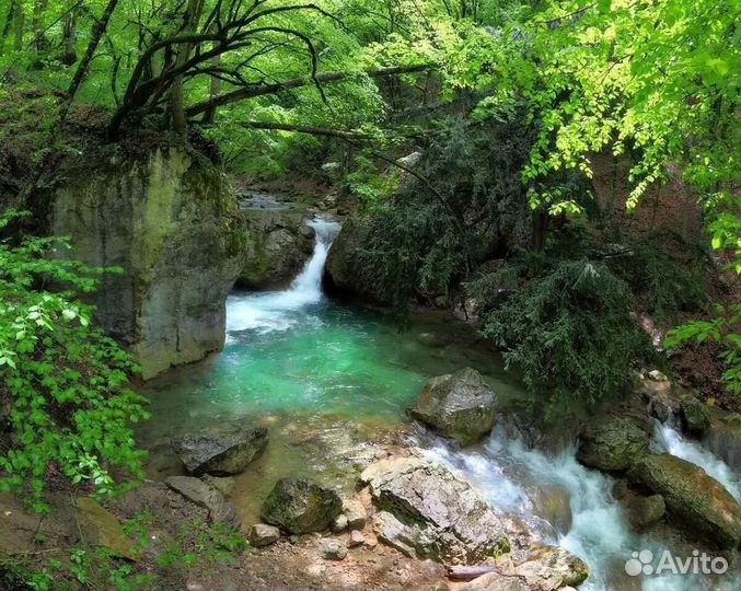 Путешествие в Большой Каньон на ванны молодости