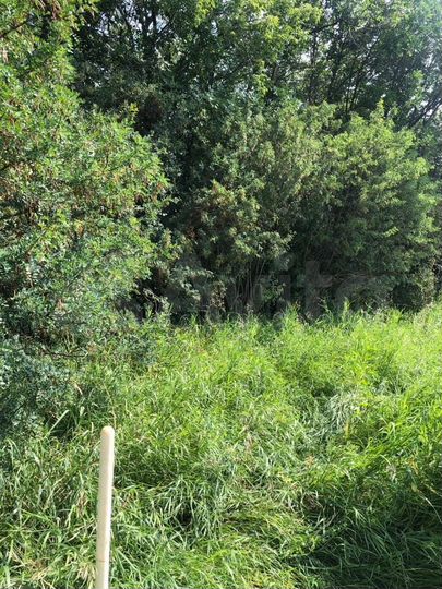 Участок 15 сот. (СНТ, ДНП)