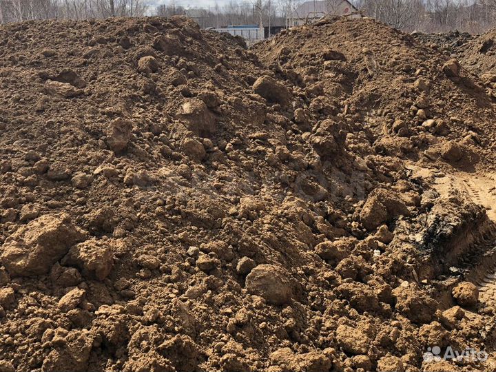 Куриный навоз