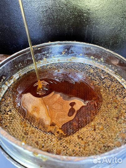 Мёд свежий Гречишный/шалфей/чабрец