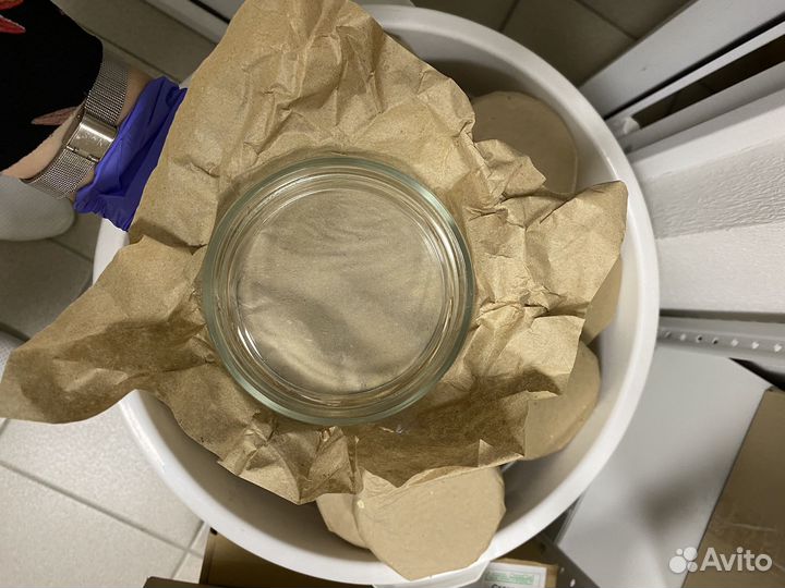 Чашки Петри