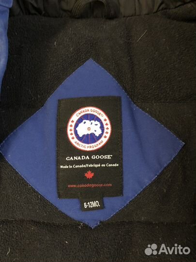 Canada goose комбинезон + Moncler