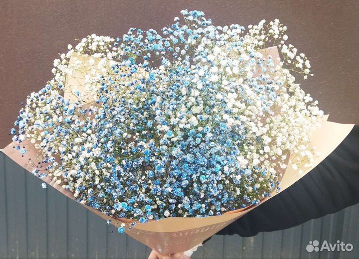 Букет из гипсофилы