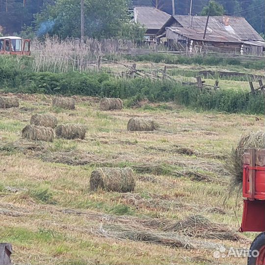 Сено в рулонах