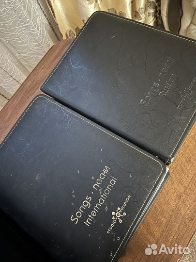 Караоке система профессиональная Evolution pro-2