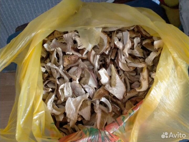 Сухие белые грибы