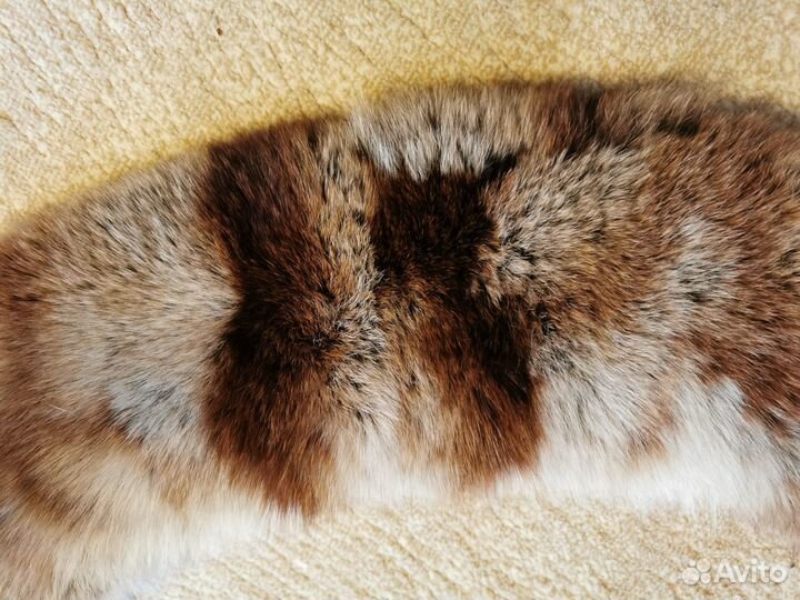 Мех огненной лисы