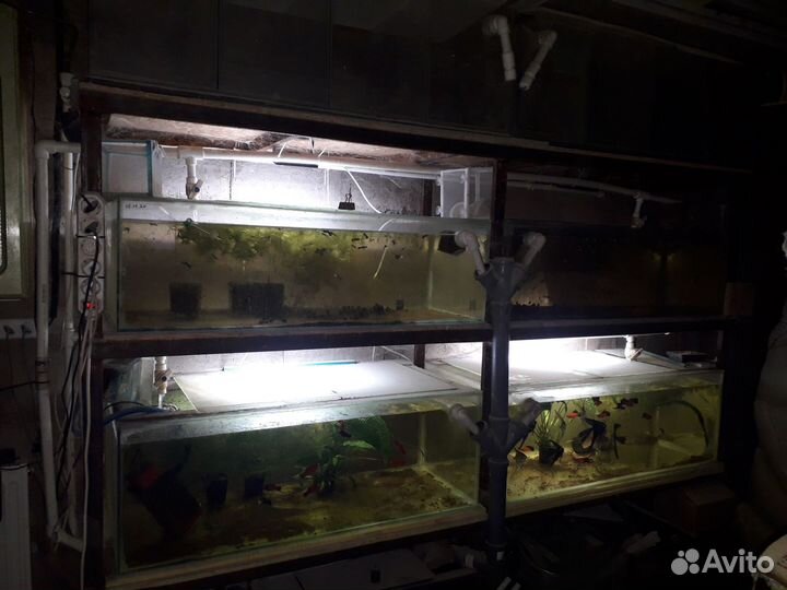 Аквариумы со стойкой