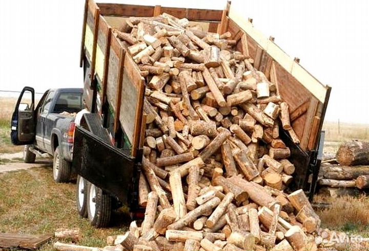 Дрова с Приморска