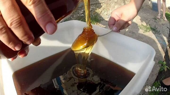 Гречишный мед оптом с Алтая