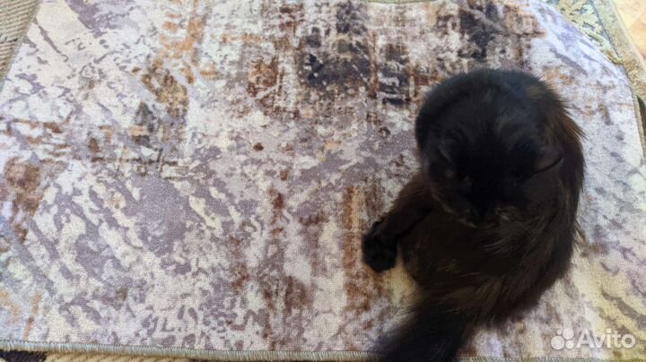 Ковёр новый на войлочной основе