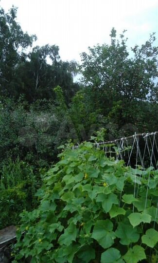 Дача 20 м² на участке 13 сот.