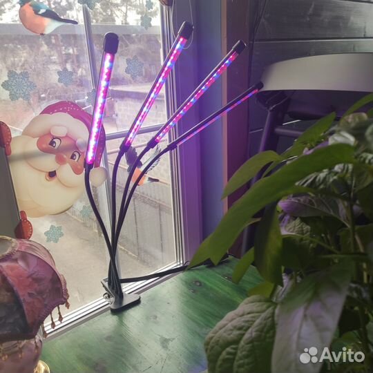 Фитолампа для растений