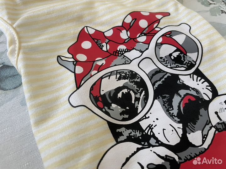 Одежда для животных S