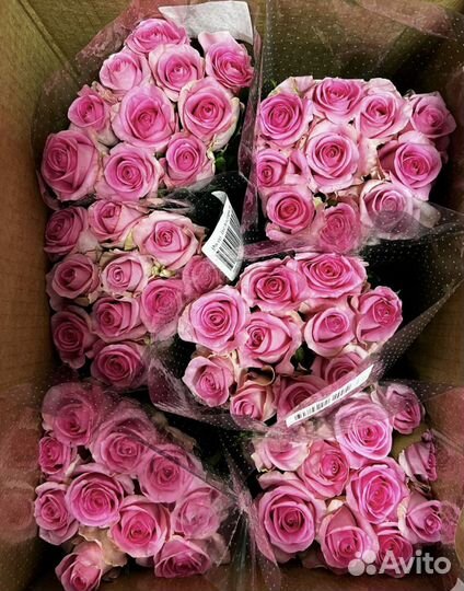 Цветы оптом - розы оптом
