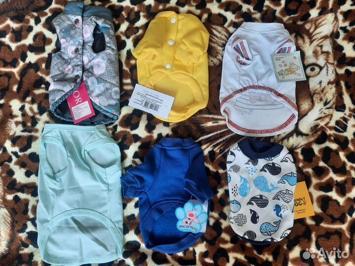 Одежда для собак мелких пород