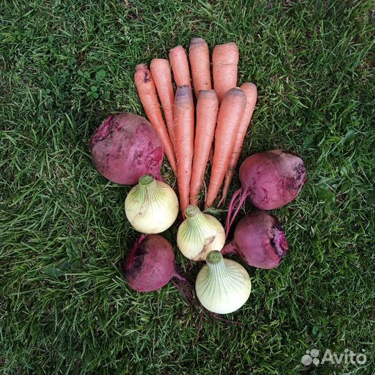 Руккола, шпинат, огурцы, кабачки и другие овощи