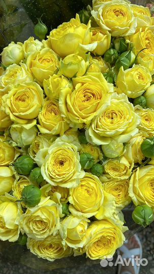 Кустовые розы / Букет из кустовых роз